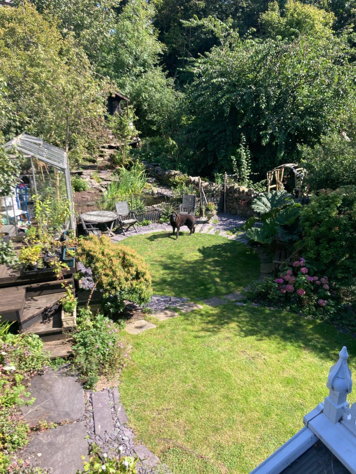 Willa Ivy House Bangor  Zewnętrze zdjęcie