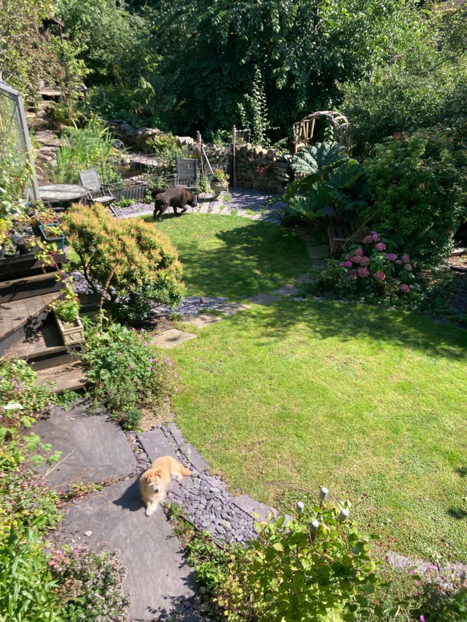 Willa Ivy House Bangor  Zewnętrze zdjęcie